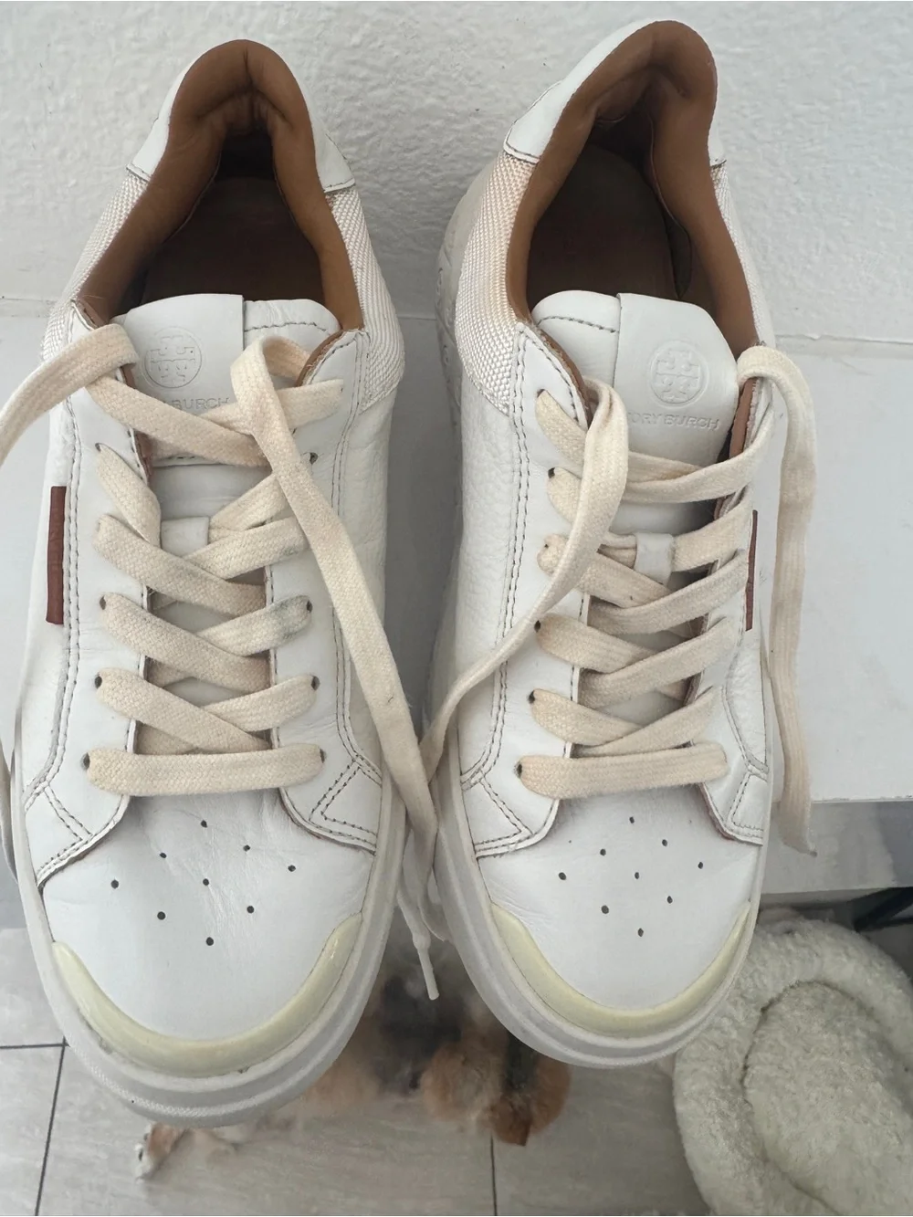 Tory Burch Off-White Sneakers with Cream Laces and brown leather accents